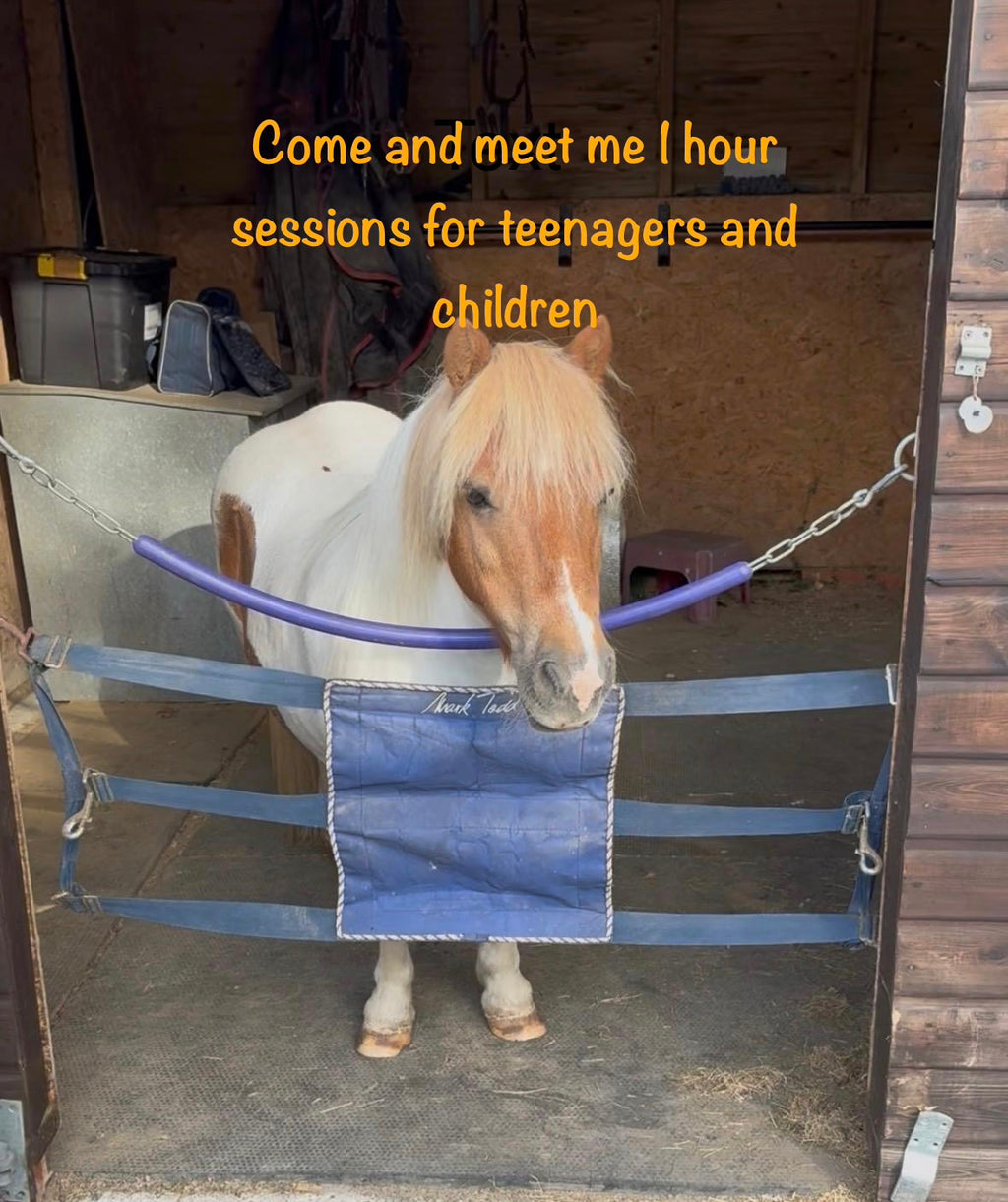 Pony Calming Sessions 31st July & August 22nd