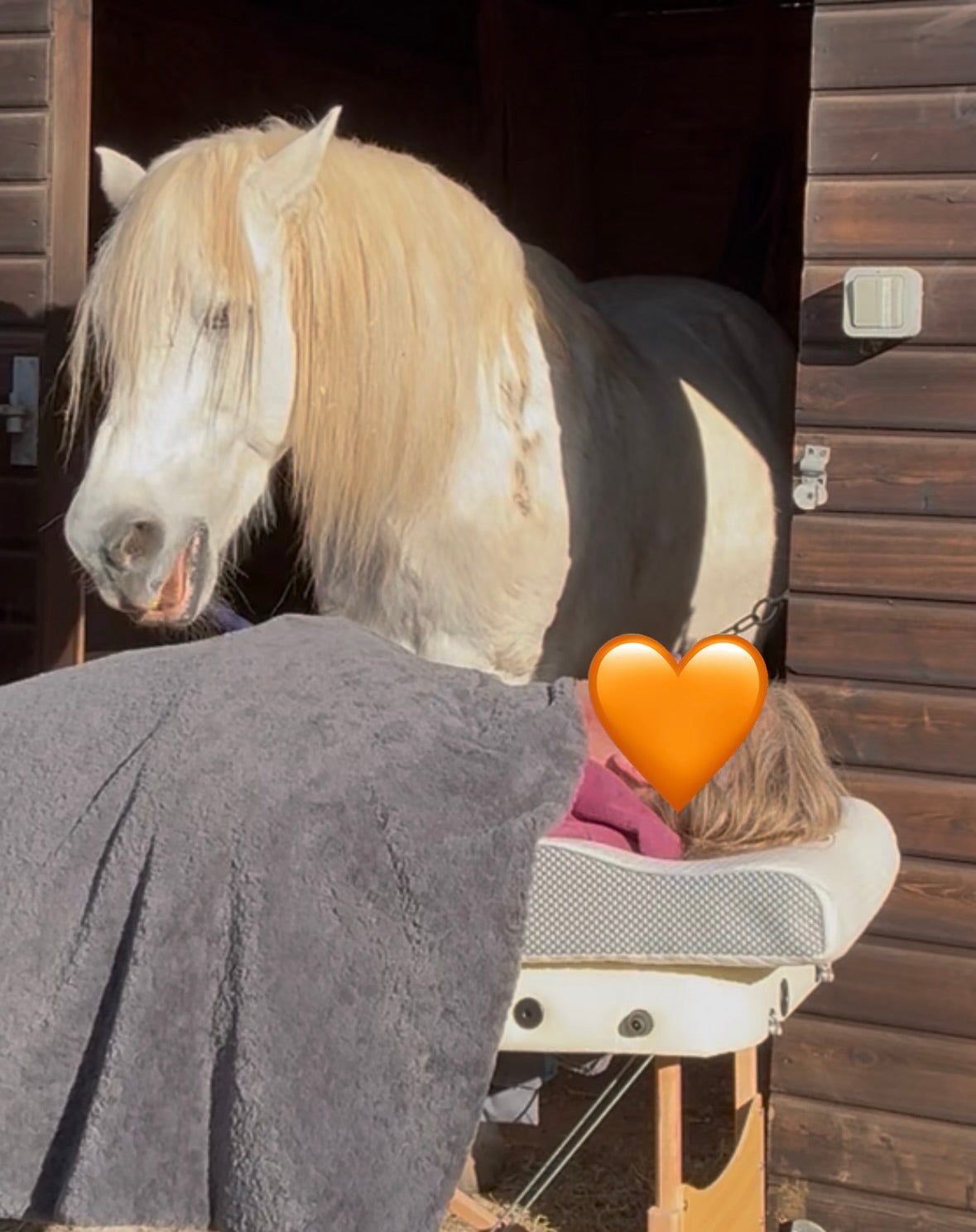 Our most popular starting point for a meaningful Reset - 1/2 day Retreat contact me to discuss your needs