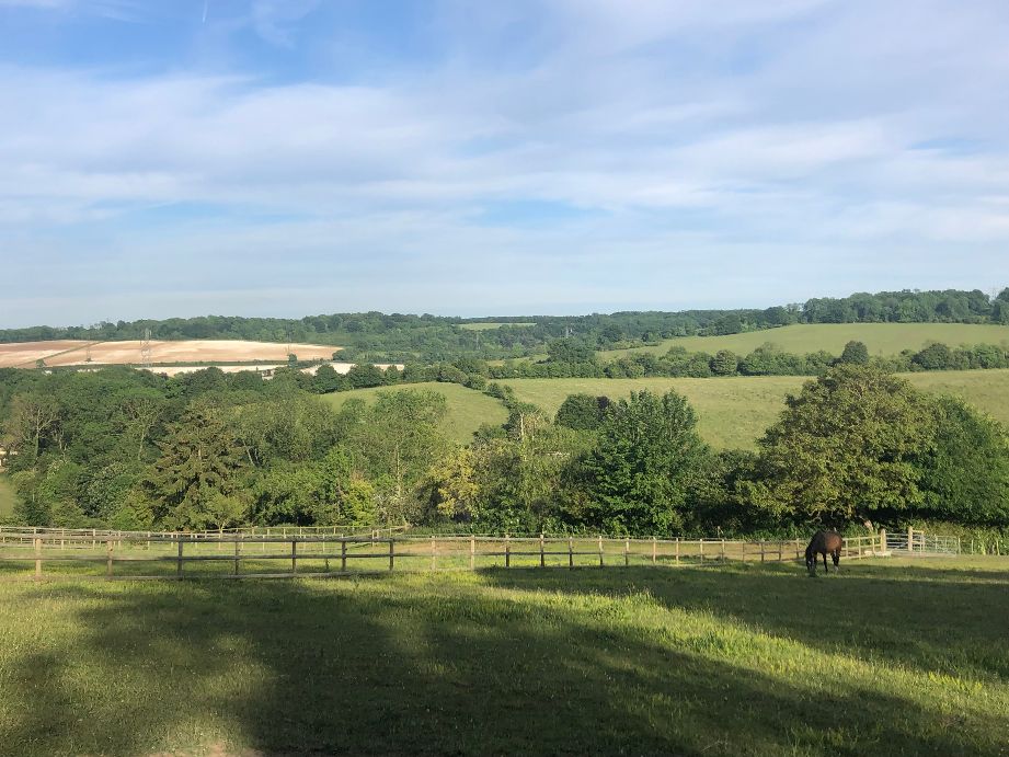 Our most popular starting point for a meaningful Reset - 1/2 day Retreat contact me to discuss your needs