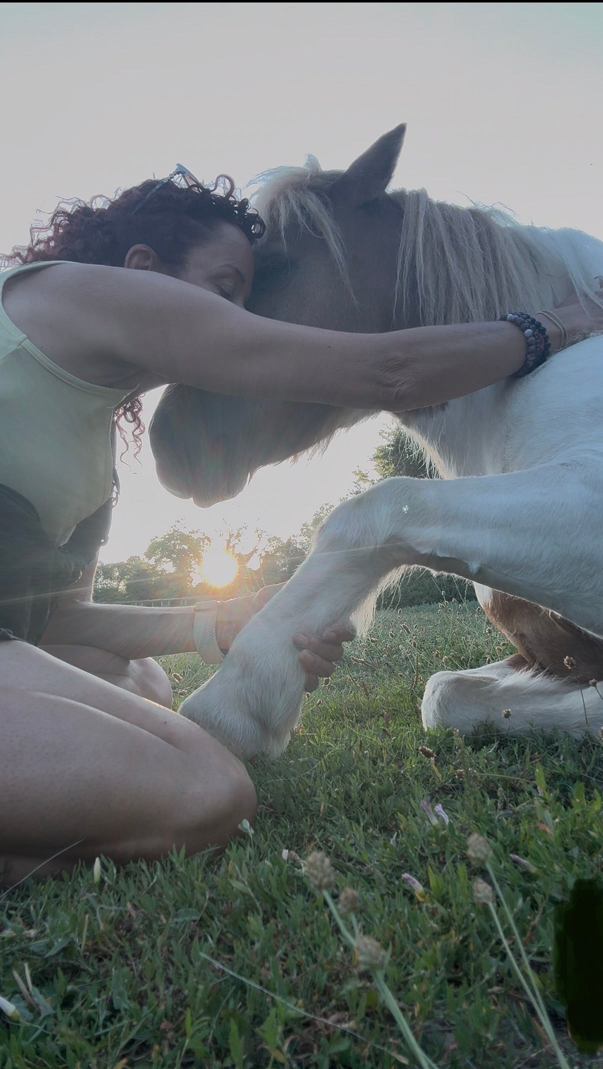 Pony Calming Sessions 31st July & August 22nd